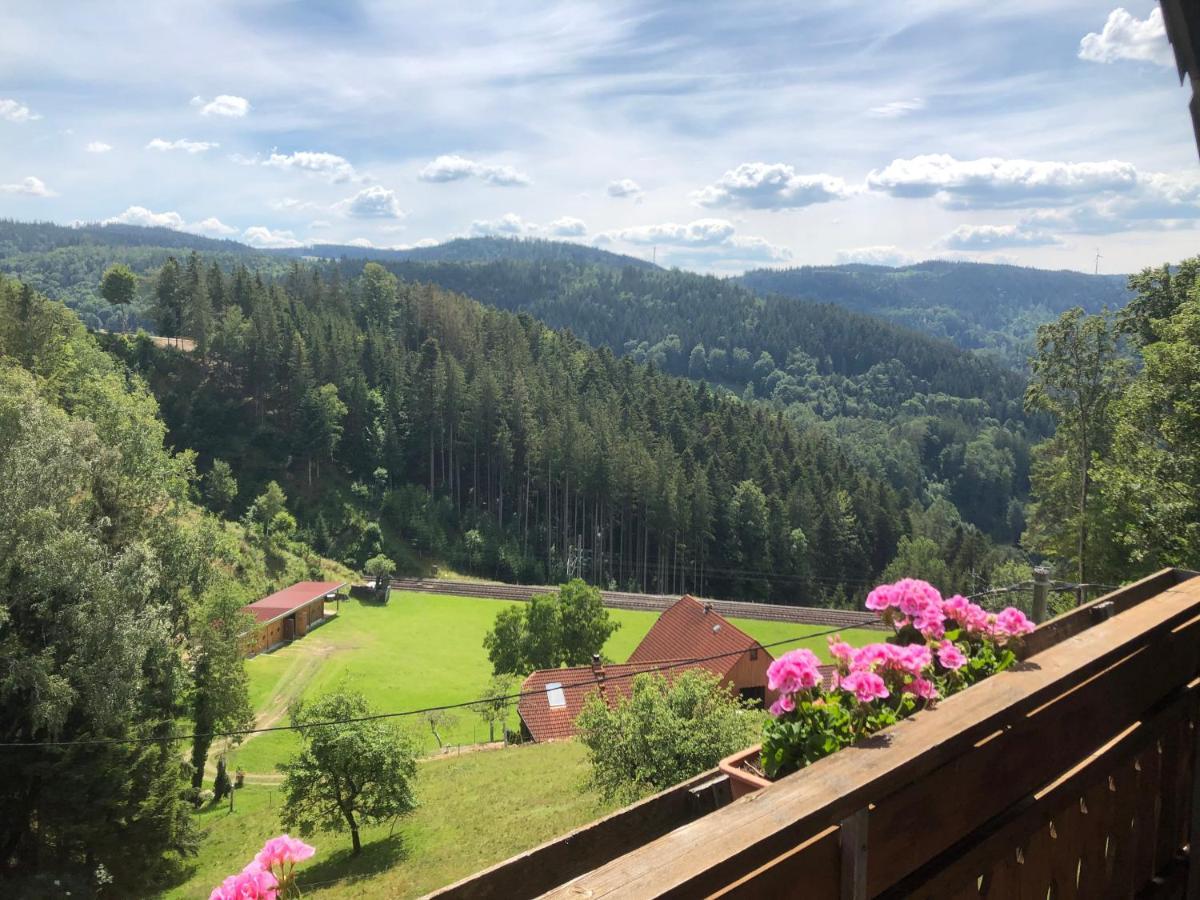 Apartamento Landhaus Valentin Triberg im Schwarzwald Exterior foto