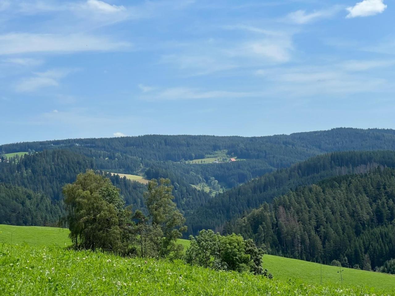 Apartamento Landhaus Valentin Triberg im Schwarzwald Exterior foto