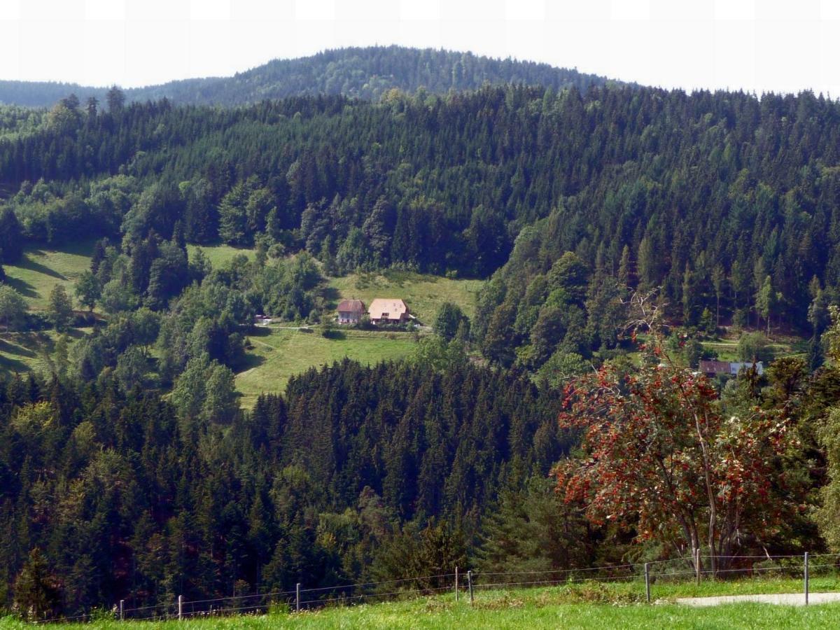 Apartamento Landhaus Valentin Triberg im Schwarzwald Exterior foto