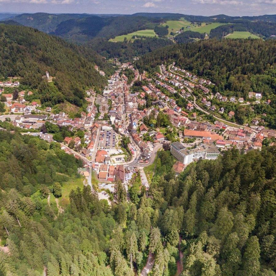 Apartamento Landhaus Valentin Triberg im Schwarzwald Exterior foto