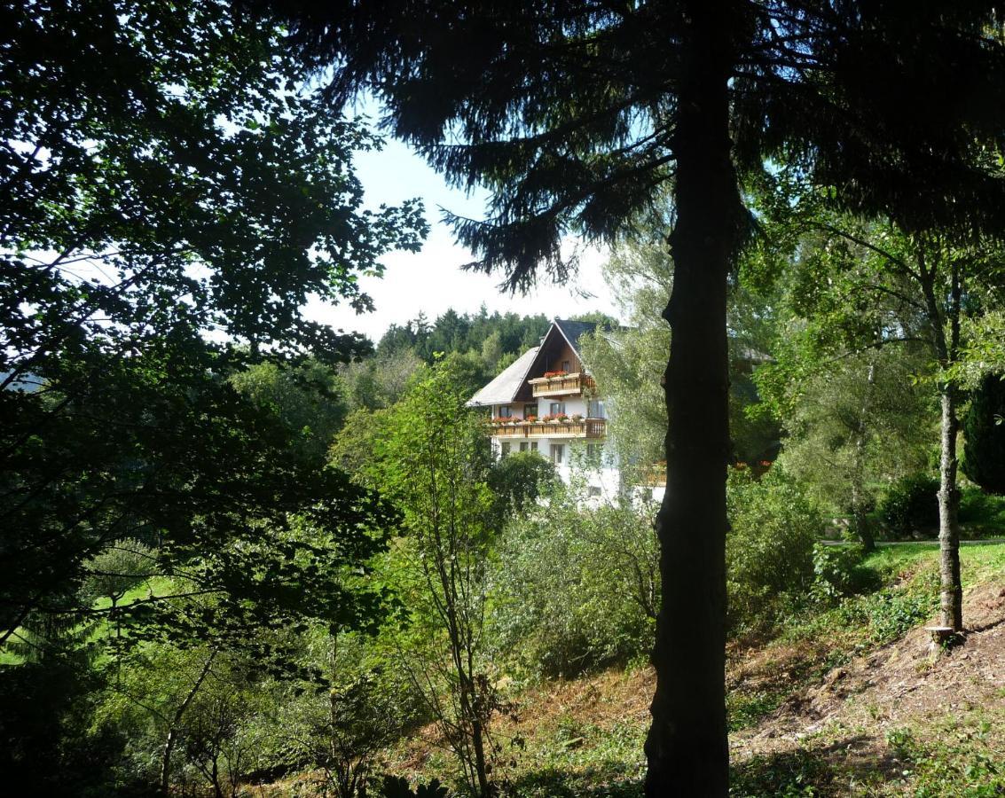 Apartamento Landhaus Valentin Triberg im Schwarzwald Exterior foto